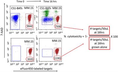 Anti-CS1 × Anti-CD3 Bispecific Antibody (BiAb)-Armed Anti-CD3 Activated T Cells (CS1-BATs) Kill CS1+ Myeloma Cells and Release Type-1 Cytokines